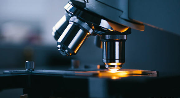 来利国际app(中国)官方正版_最给力的老牌