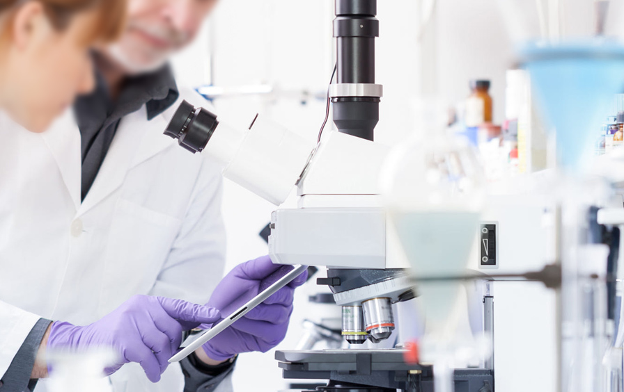 来利国际app(中国)官方正版_最给力的老牌